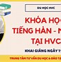 Học Tiếng Nhật Lên N2 Mất Bao Lâu