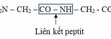 Liên Kết Peptit Là Liên Kết Co Nh Giữa Hai Đơn Vị Amino Axit